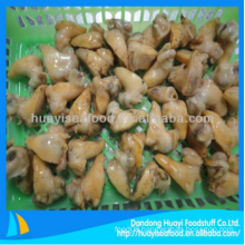 cheap frozen perfect superior whelk meat with best exporter